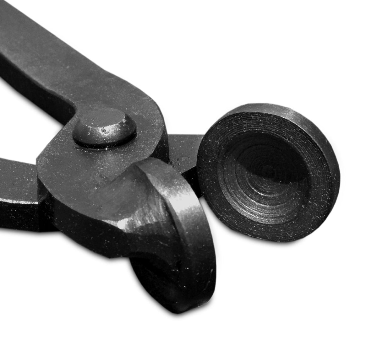 cc8b162248e0c77295f4d5763a55e169_552e6e99-12e7-4160-a31a-ca3be2b029f4.jpg